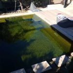 Eco Swimming Pool